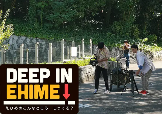 企業連携!ディープなえひめ